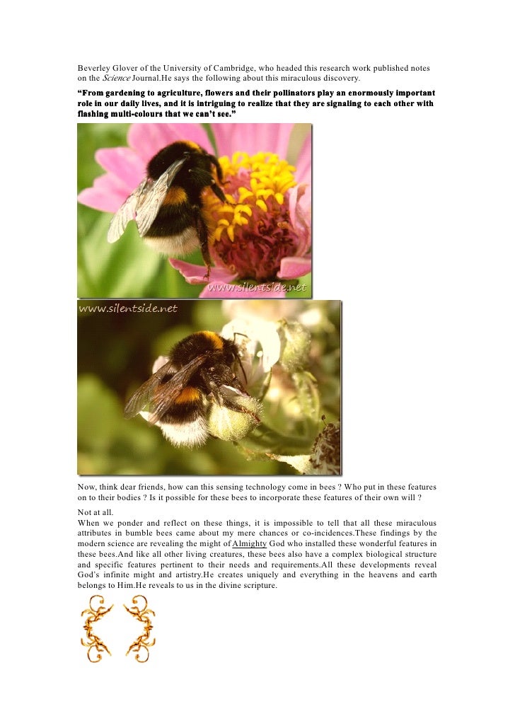 The Bumble Bee Miracle